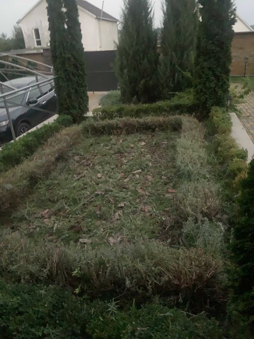 Озеленення і благоустрій территорії.