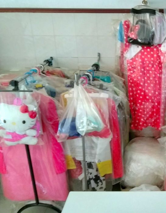 Fatos carnaval mulher