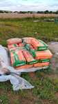Cement budowlany