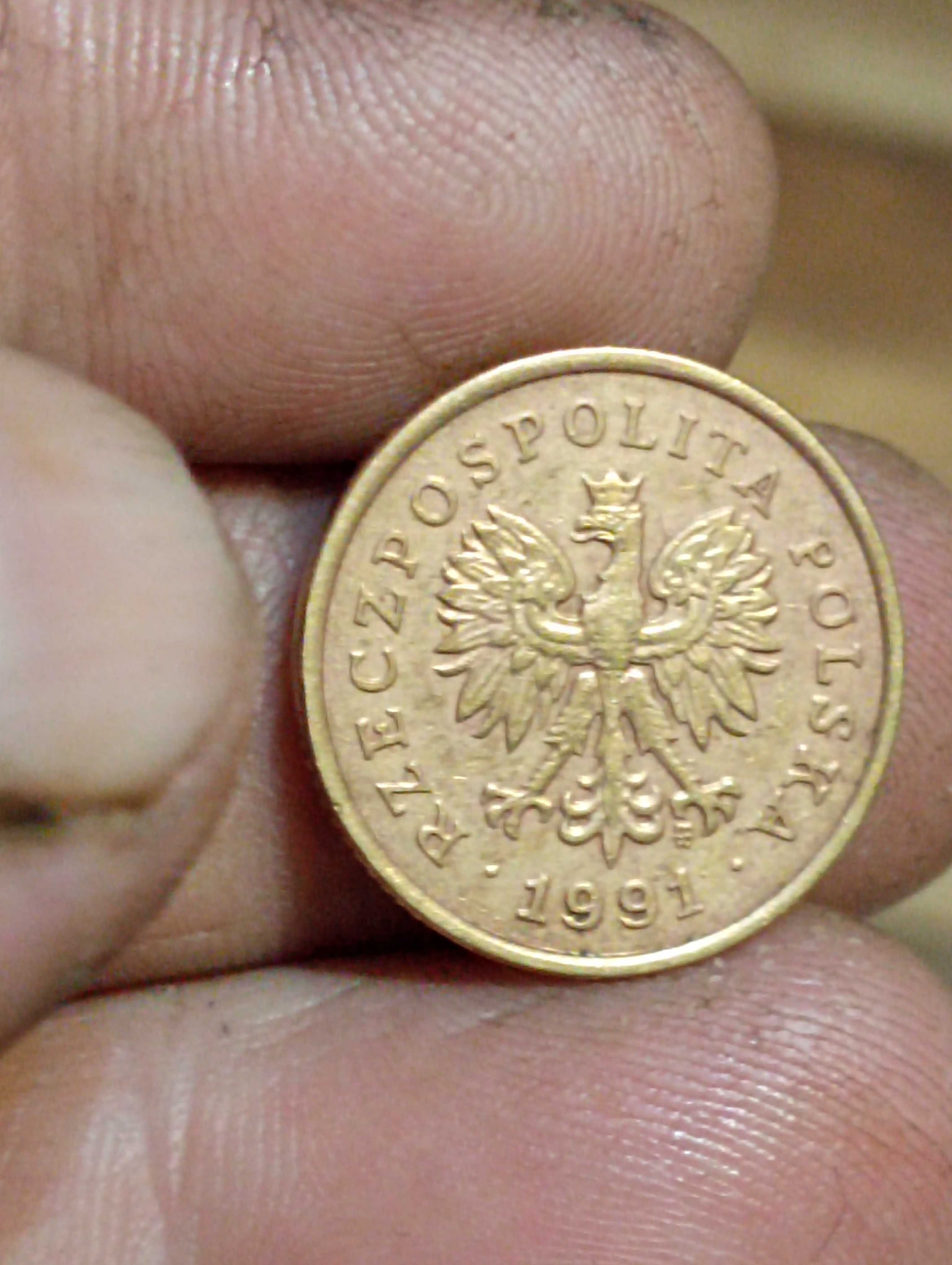 Moneta 5 groszy 1991 rok
