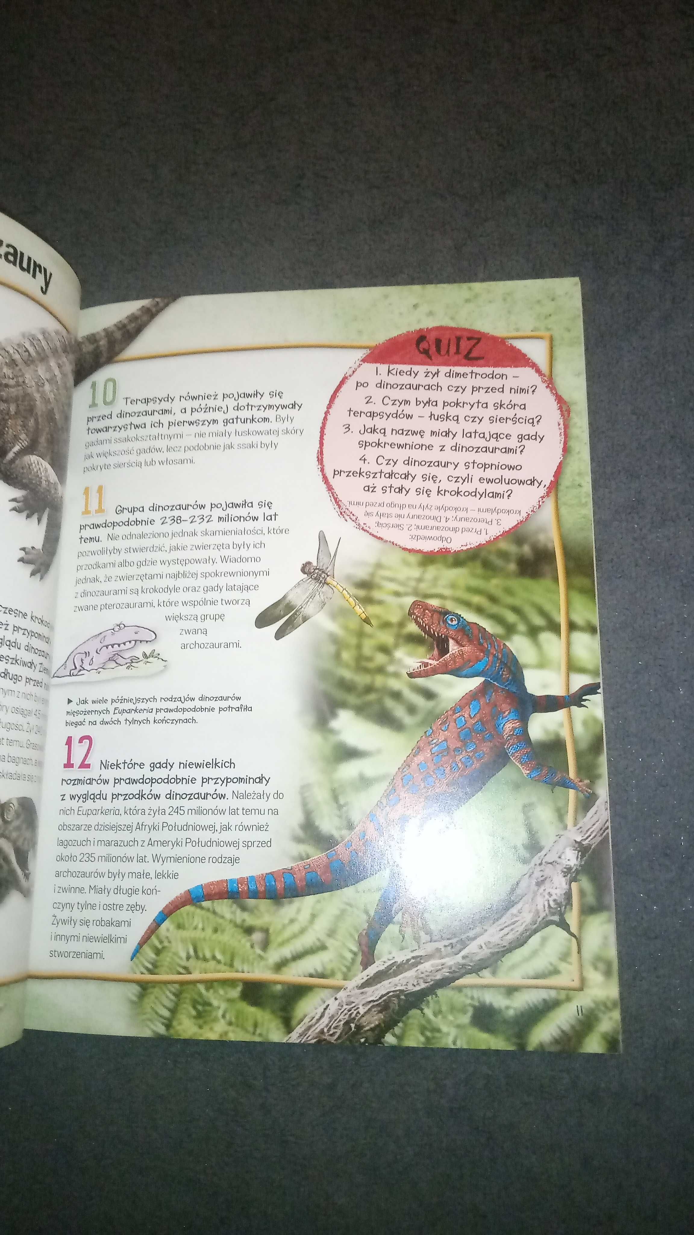 Mini kompendium 100 faktów Dinozaury nowa