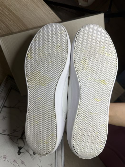 Кеди Lacoste чоловічі