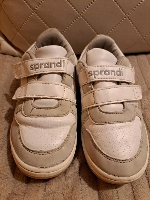 Sneakersy sprandii model CP 40 2051Y