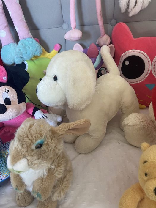 Zabawki misie pluszowe pluszaki maskotki Nici Dinsey