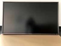 Monitor Mitsubishi MDT521S