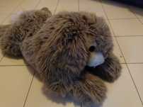 PELUCHE GIGANTE - Coelho felpudo