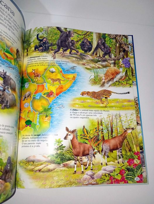Atlas Infantil dos Animais - Os Habitats