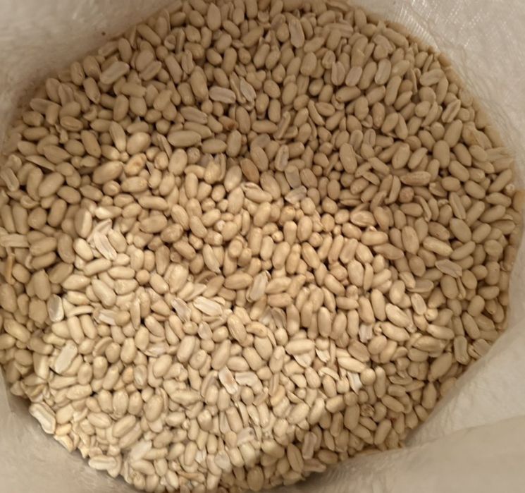 Арахіс сирий,жарений,бланширований,сольоний