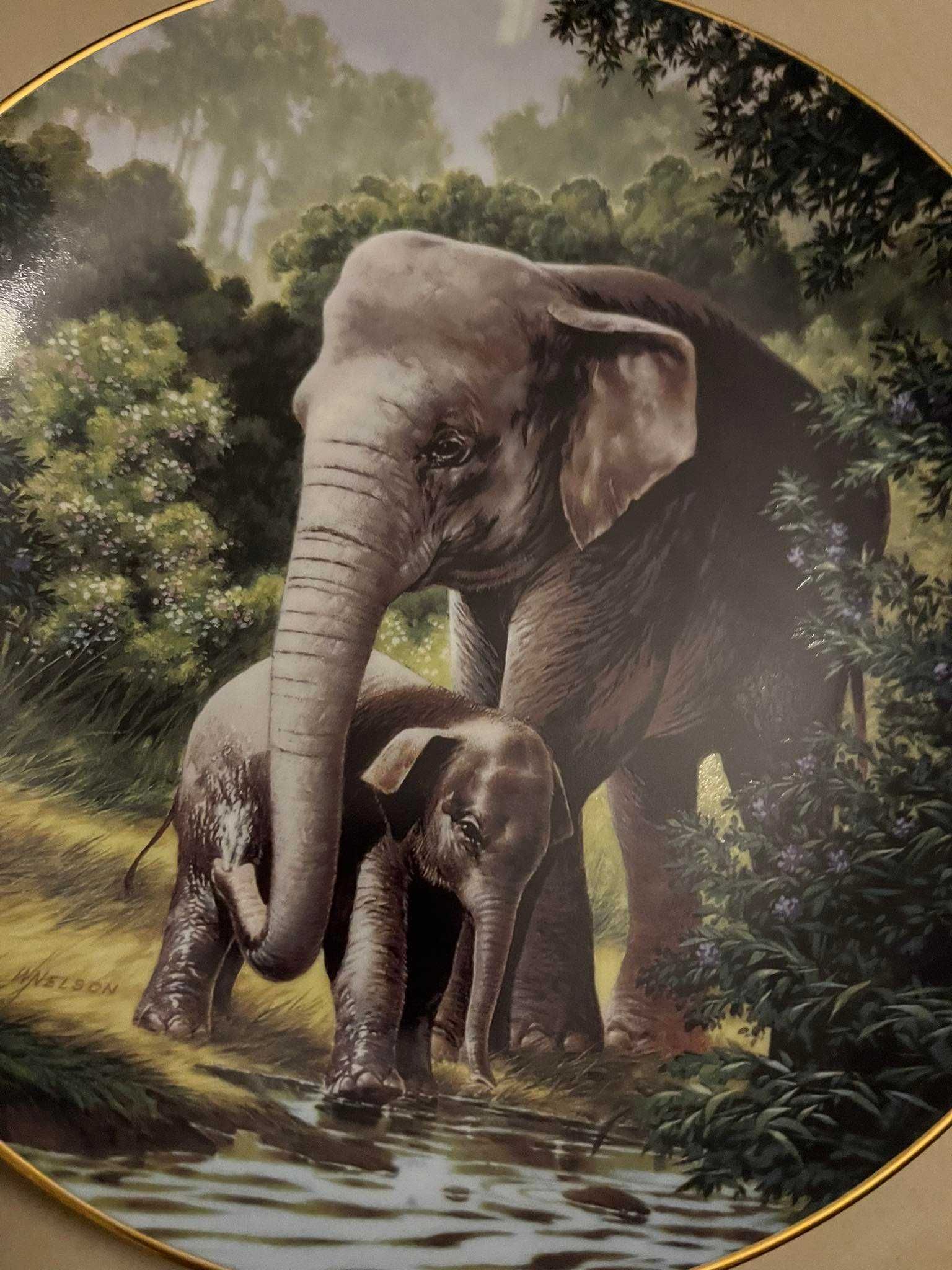 Talerz kolekcjonerski Słoń The Asian Elephant by Will Nelson 1989