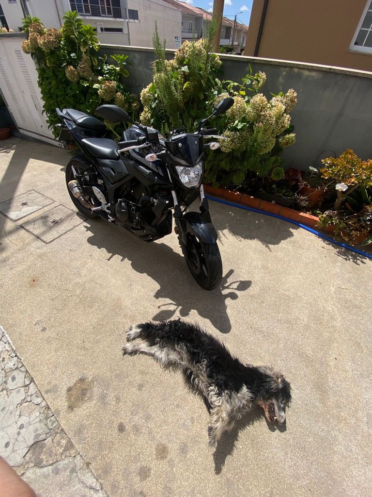 Yamaha mt03 12/2018