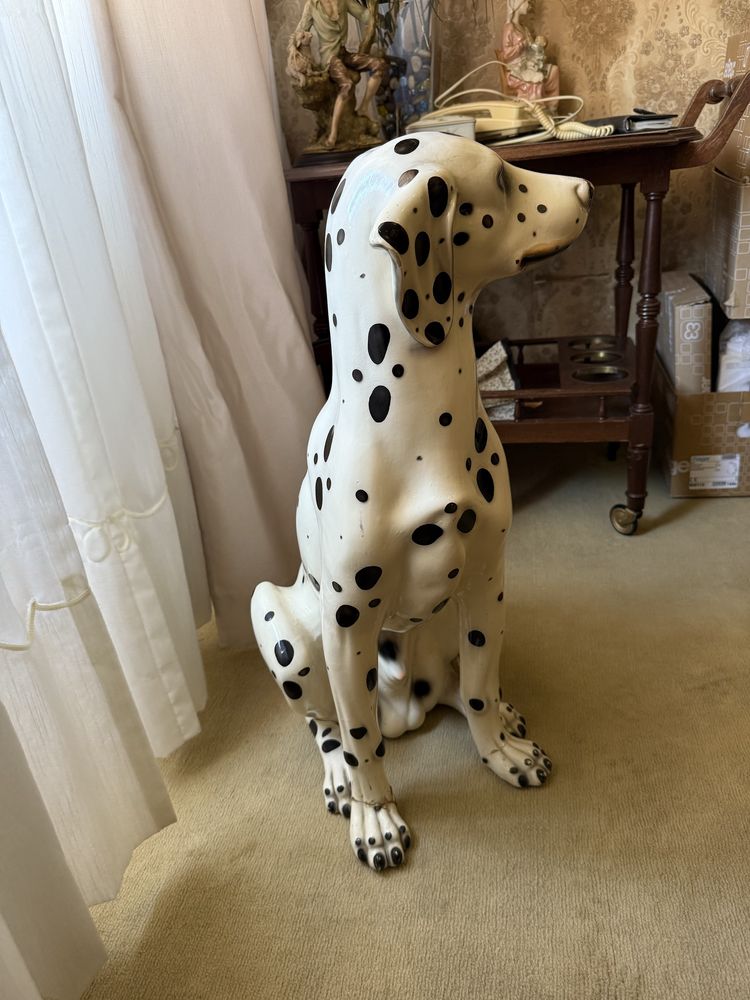 Cão de loiça - Dalmata