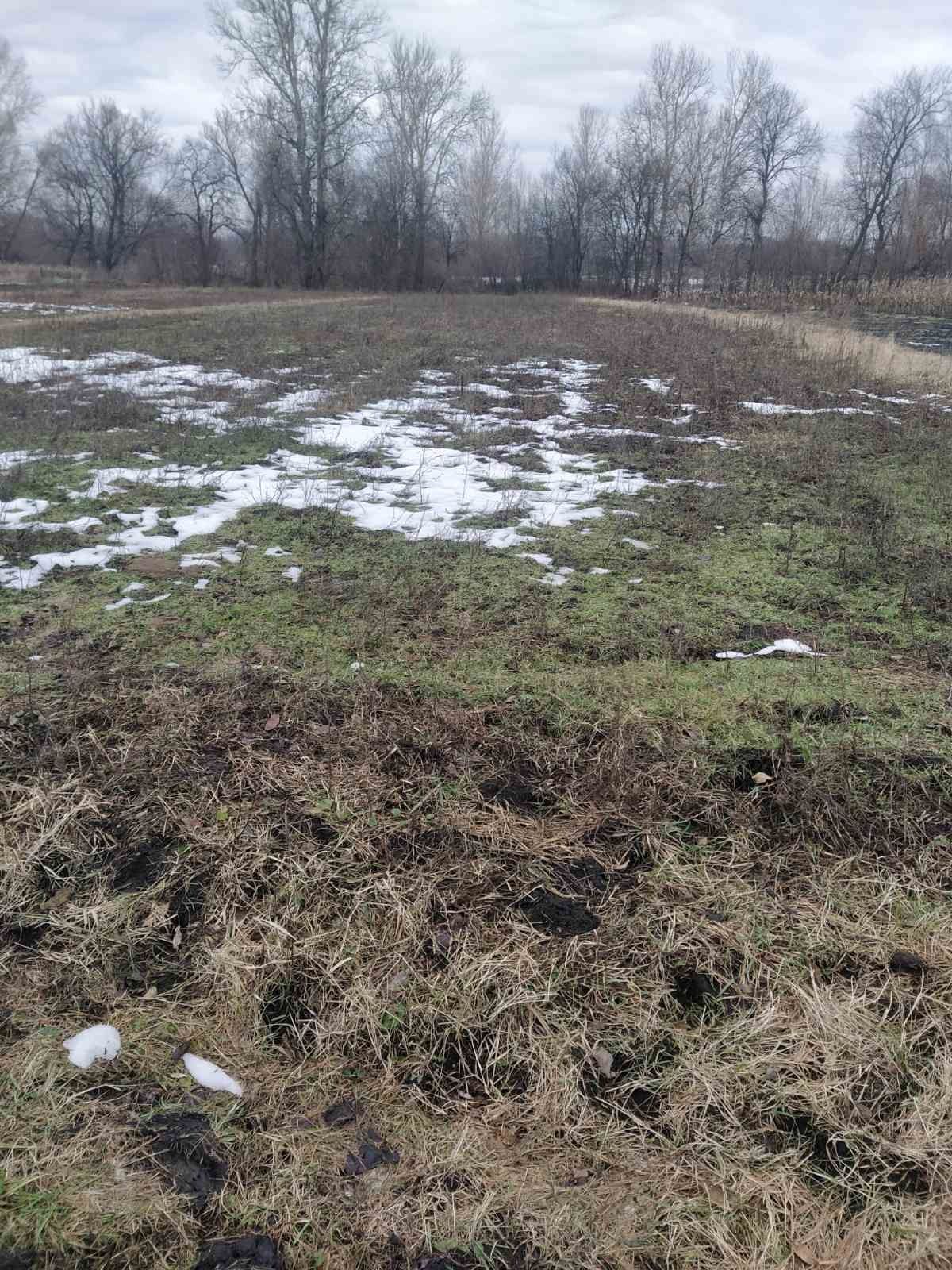 Будинок з присадибною ділянкою в селі Дубовий Гай.Прилуцький район.