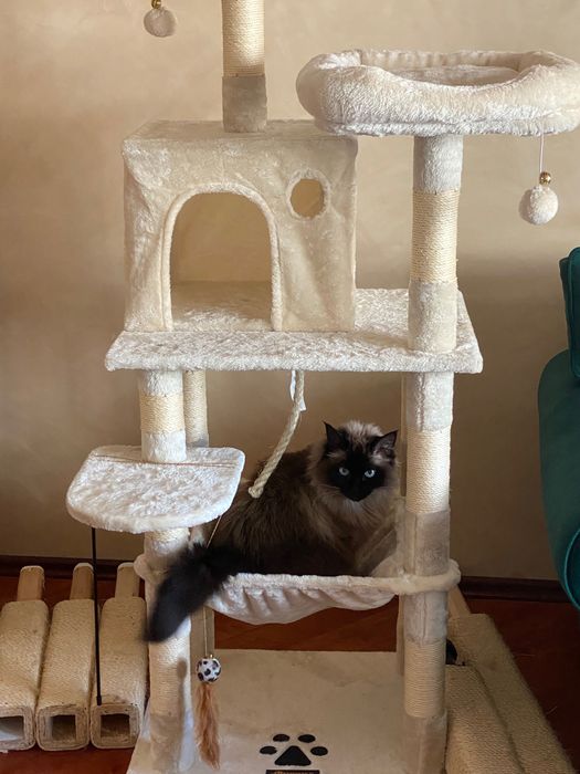 Drapak dla Kota 143cm