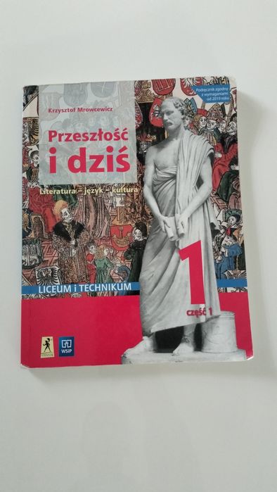 Książka Do Języka Polskiego klasa 1 część 1 Liceum/technikum