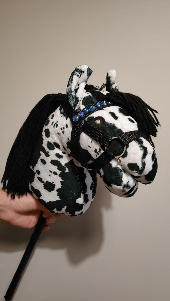 Konik hobby horse tarantowate A4