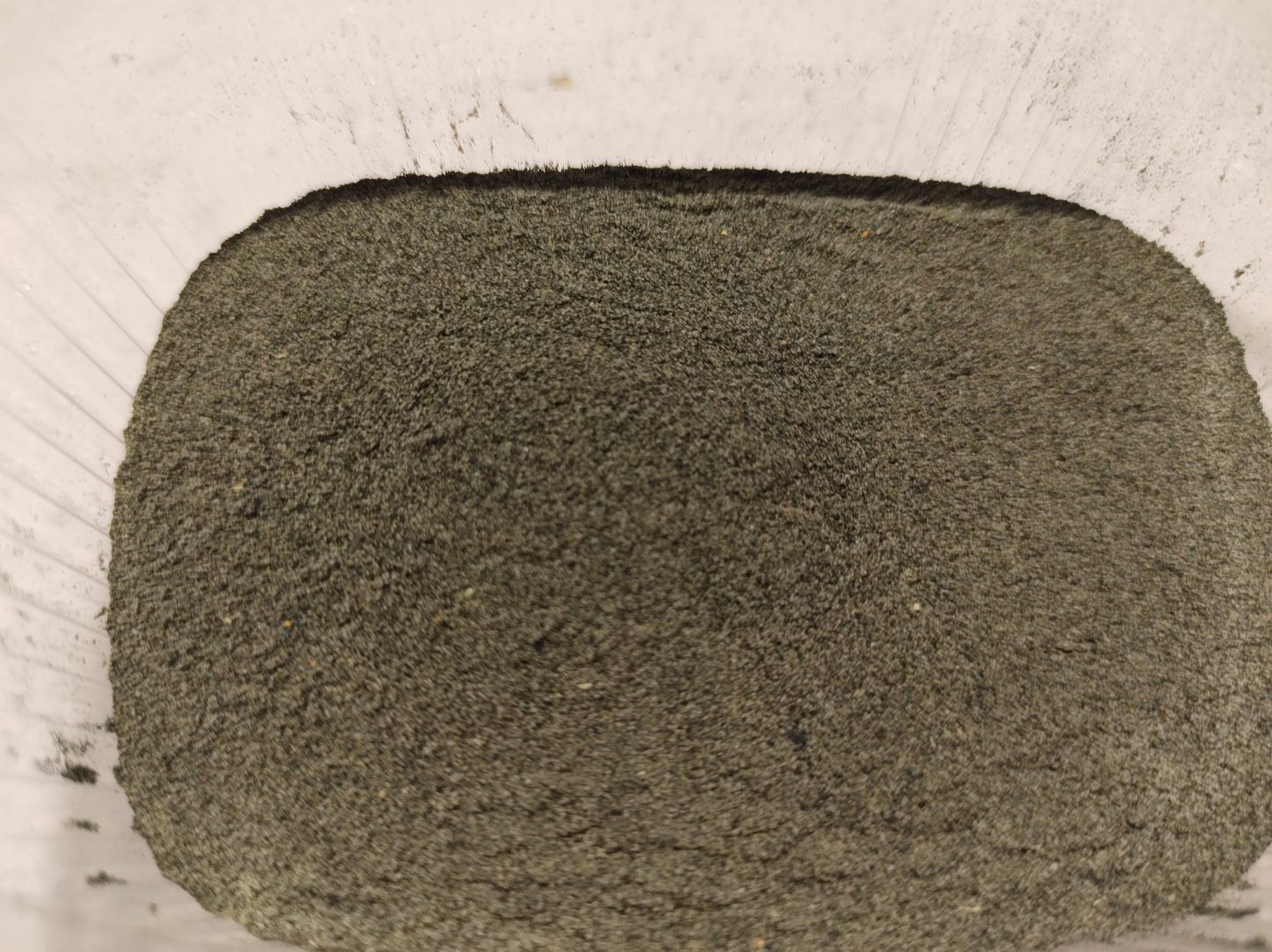 Spirulina mikro dla narybku i małych ryb