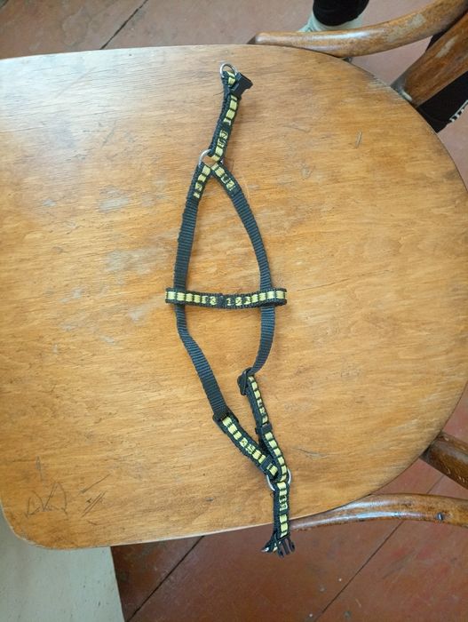 Шлейки для собаки или кота