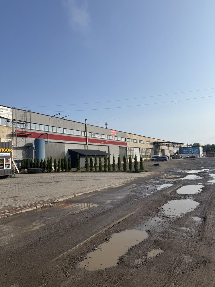 СУПЕРПРОПОЗИЦІЯ! Продаж комерційного приміщення у Луцьку