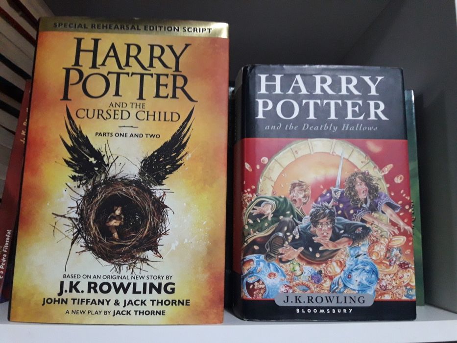 Livros Harry Potter + Tolkien