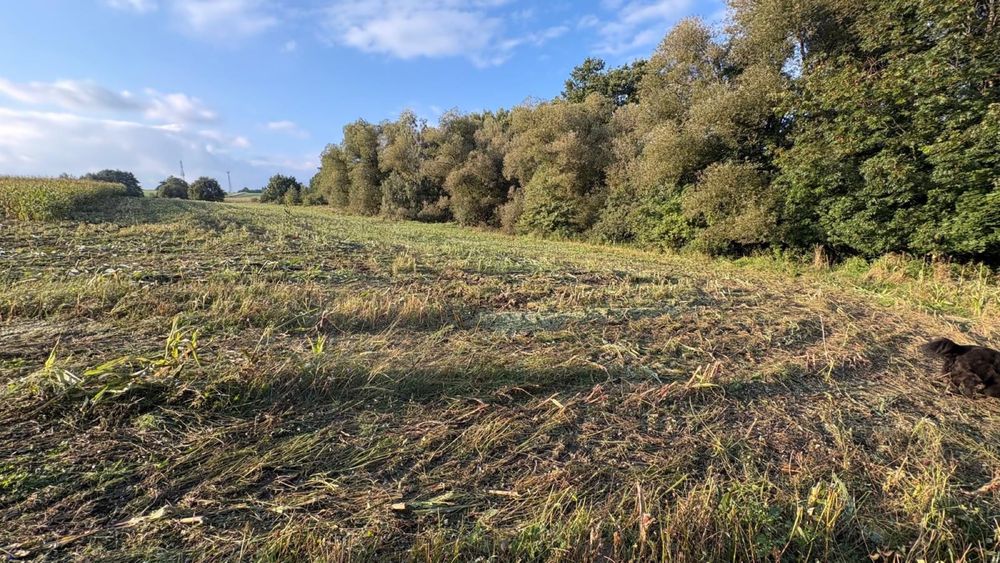 Działka budowlane na sprzedaż - Dziećmorowice