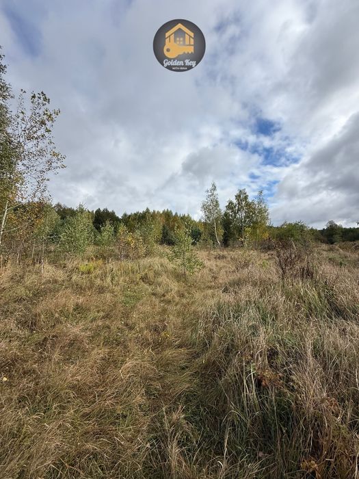 Продам земельну ділянку 7га, серед сосен, с.Рови