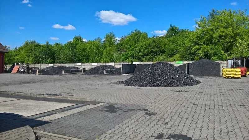 Suchy z hali Groszek Karlik od KDW
