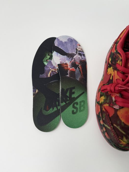 Оригинал Nike SB Dunk Low The Wizard of Oz Poppy Field PS (FZ1236 600)