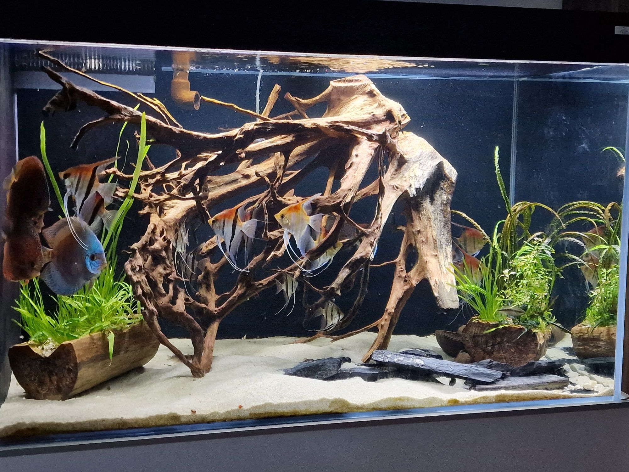 Akwarium zbiornik 600l sump samp