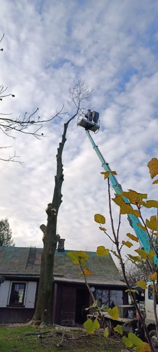 Podnośnik koszowy 23m zwyżka – usługi, wynajem, wycinka drzew, rębak,