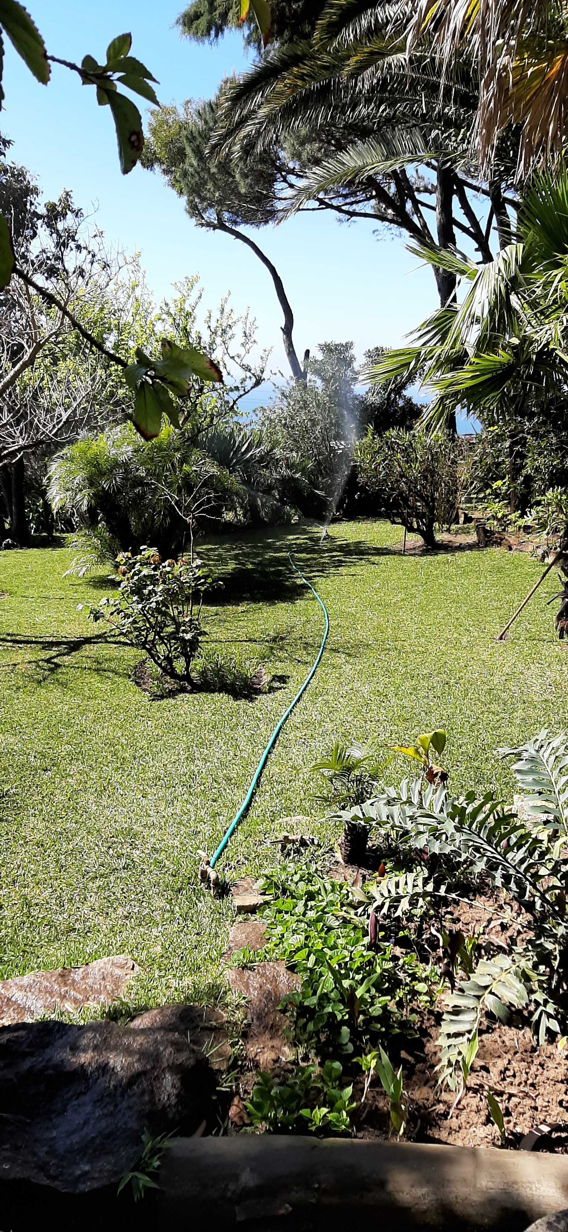 Jardineiro - limpeza e manutenção de jardins