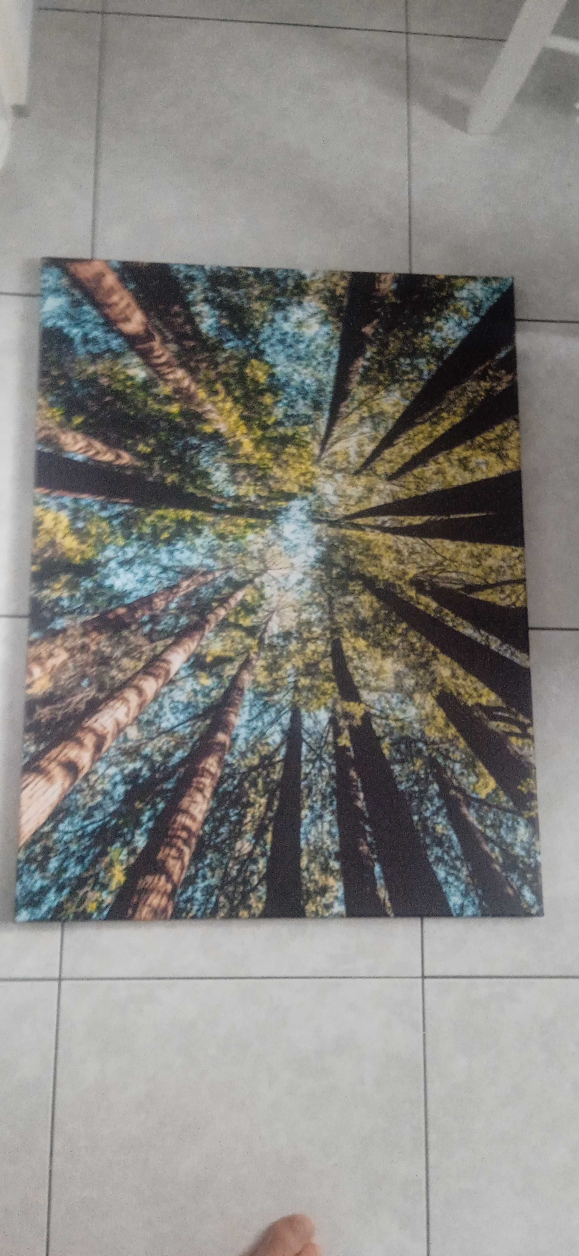 Obraz korony drzew, NOWY, duzy rozmiar 80 x 60 cm