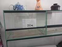 Terrário para répteis