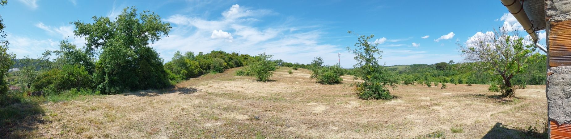Terreno em Alcobaça