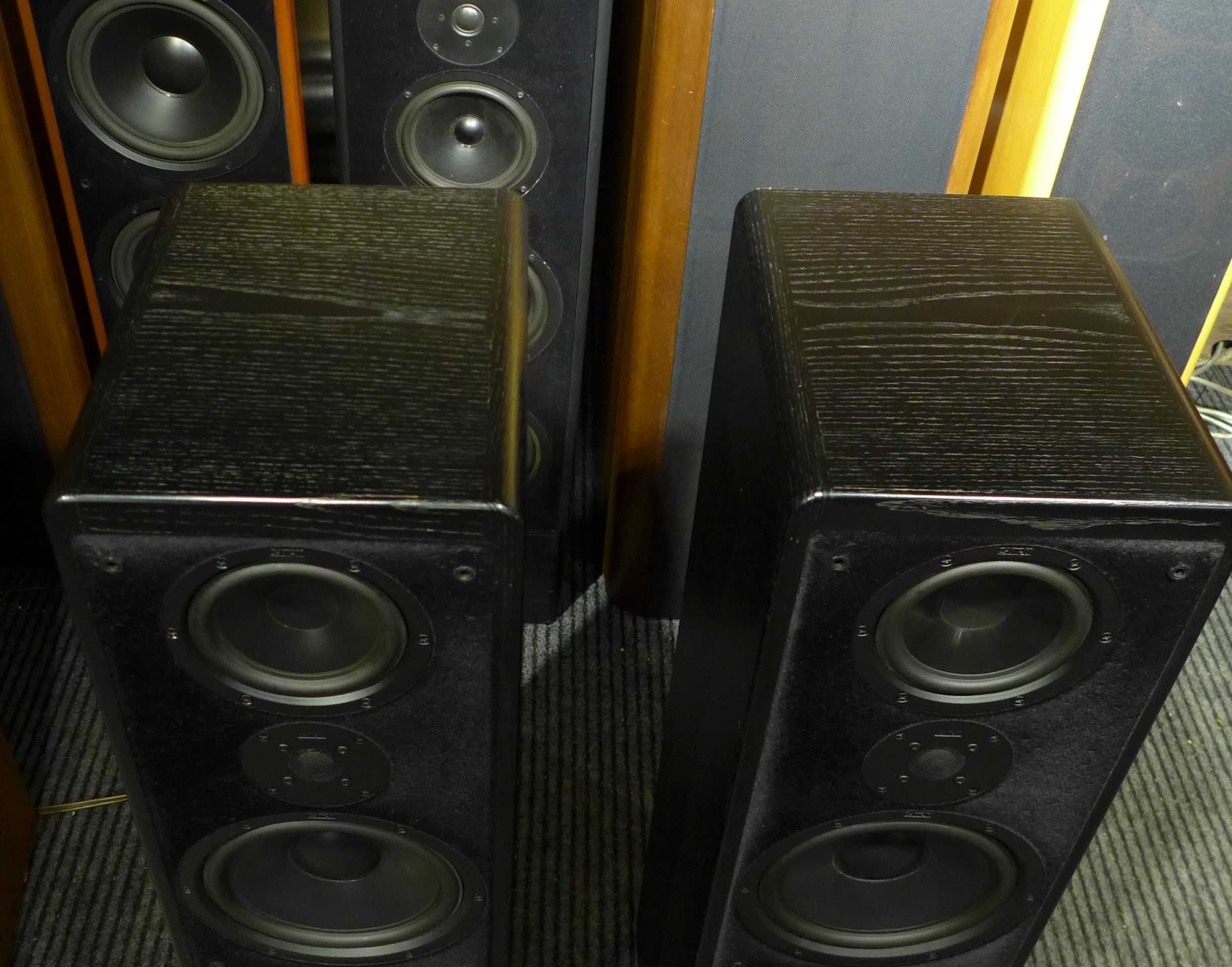 Canton Ergo SC-L, Hi-Ehd!! від 18 Hz горіх\чорні + control unit