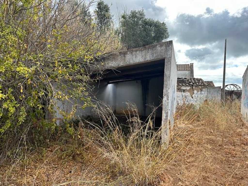 Quinta para recuperar com 22.480m² em Moncarapacho – a 5 min da Fuseta