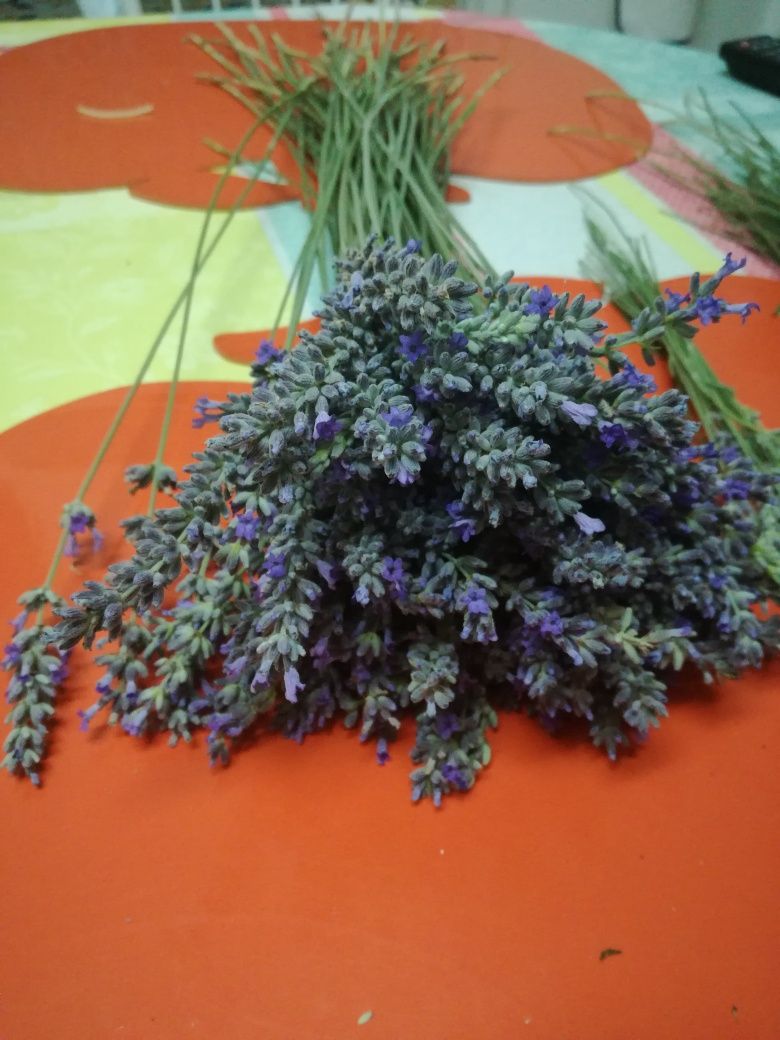 Alfazema/Lavanda seca a granel