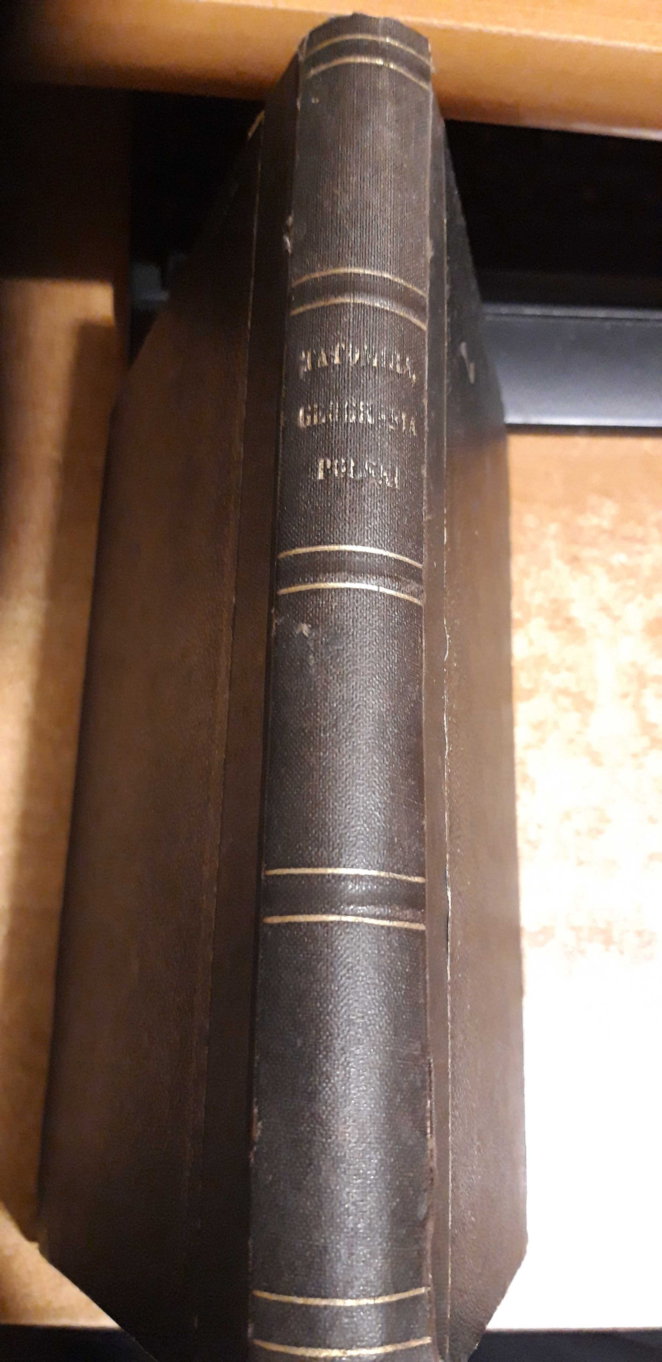 Geogr. Ogólna i Statyst.Ziem Dawnej Polski,1-3 -TATOMIR-Kr.1868