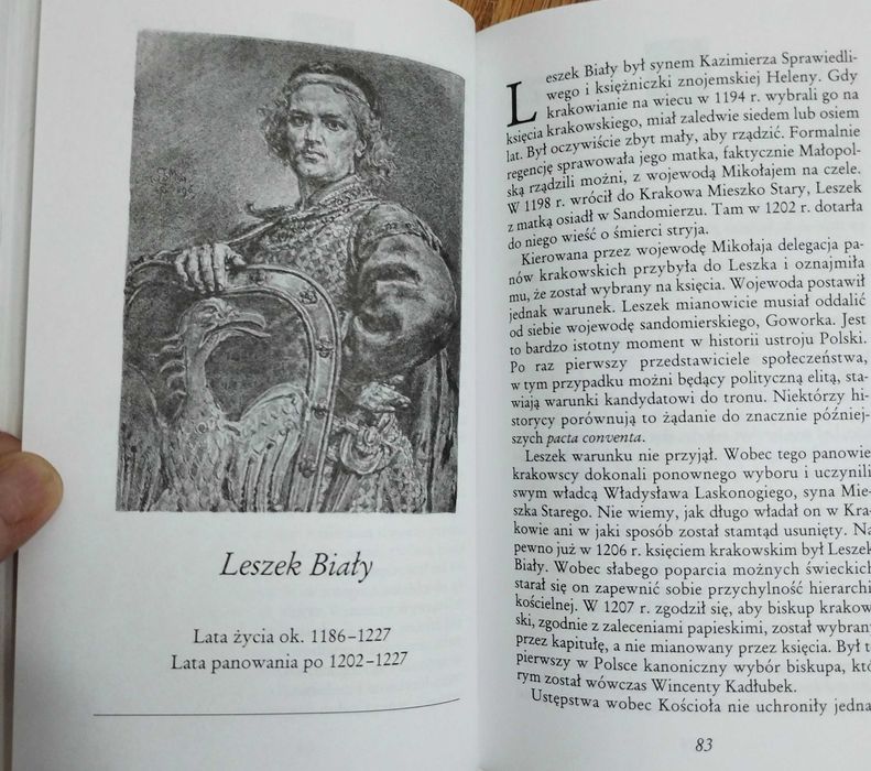 Poczet królów i książąt polskich Jana Matejki.
