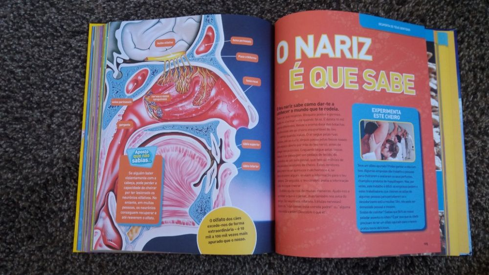 NOVO O Corpo Humano National Geographic Júnior