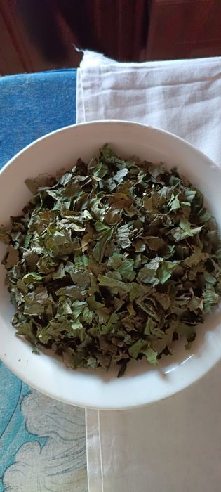 Продам листя горіха волоського,приворотень звич(манжетка).