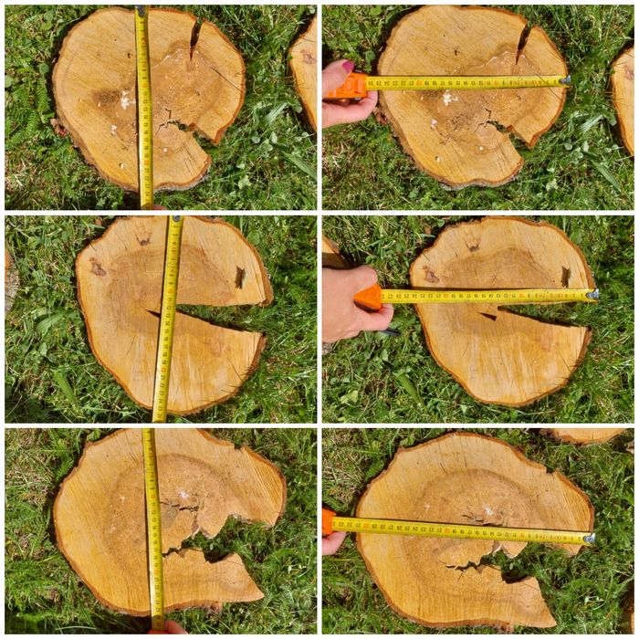 Plastry drewniane jabłoń