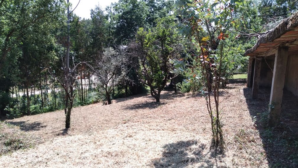 Terreno/quinta com pequena edificação