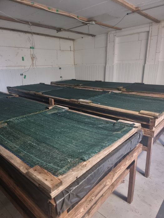 Paśniki do chodowli ślimaków