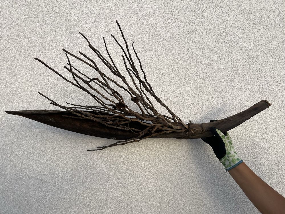 Tronco de coqueiro para decoracao de aquario grande