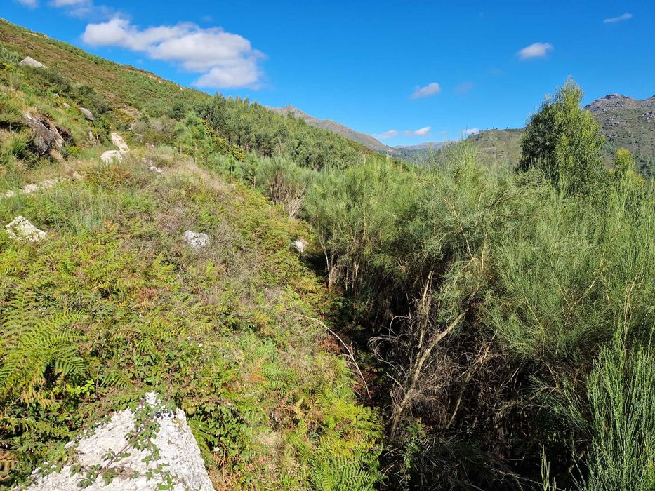 Terreno / Gerês / Rio Caldo