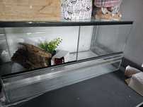 Terrarium dla jaszczurki gekona agamy weza