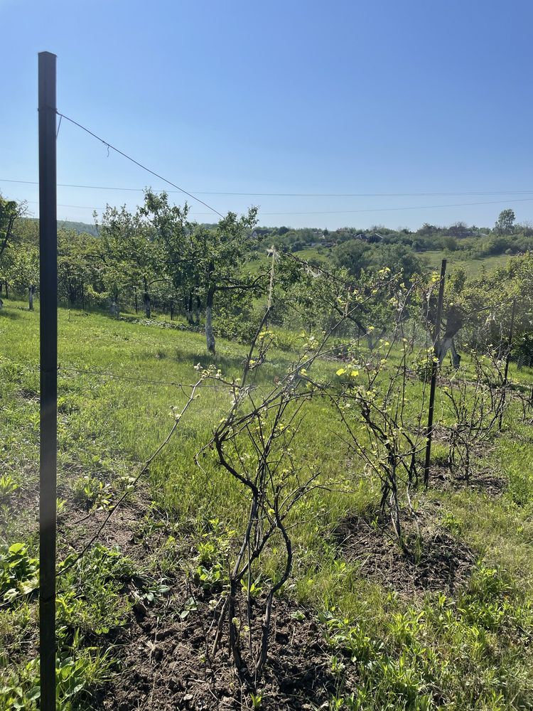 Продам дачну діляночку 18 соток під Мерефой