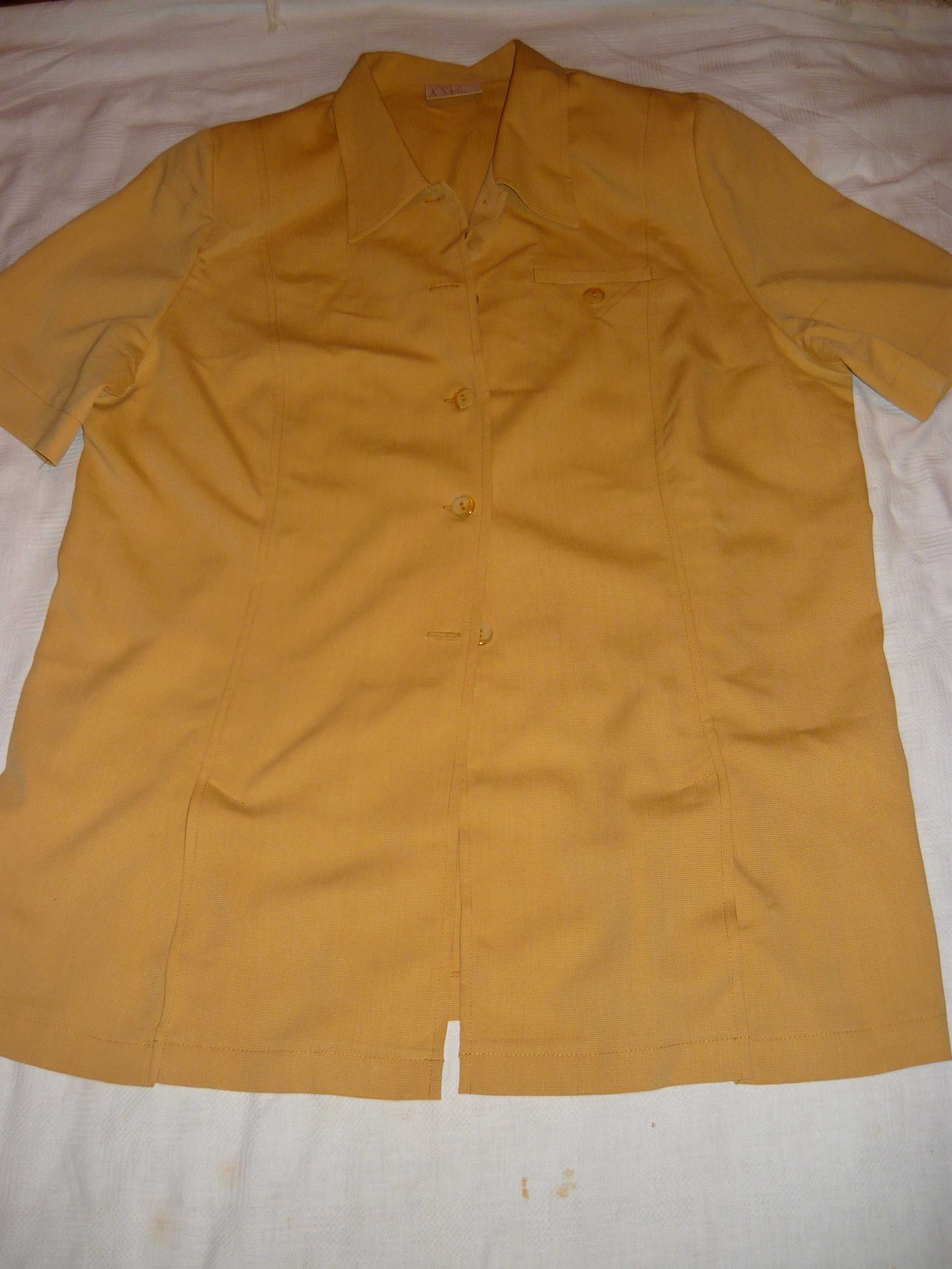 Conjunto de camisete comprida e saia - seda cor caril - Tamanho grande