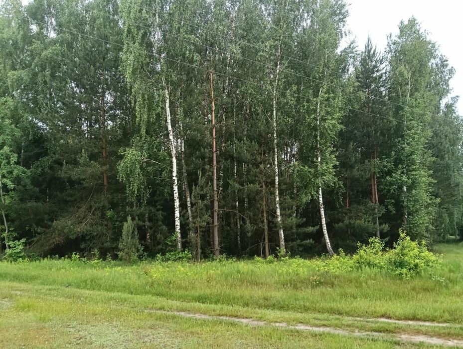 Działka rekreacyjna 1,26 ha.