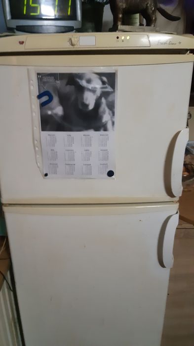 Lodówka Amica Fresh line